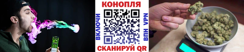 Бошки Шишки планчик  Майский 